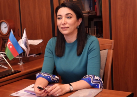 Ombudsman İran ərazisindən Naxçıvana PUA hücumlarını pisləyib