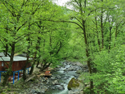 Bir cənub bölgəsində - FOTOLAR