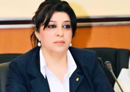 15 İyun siyasi iradənin bərpasıdır –