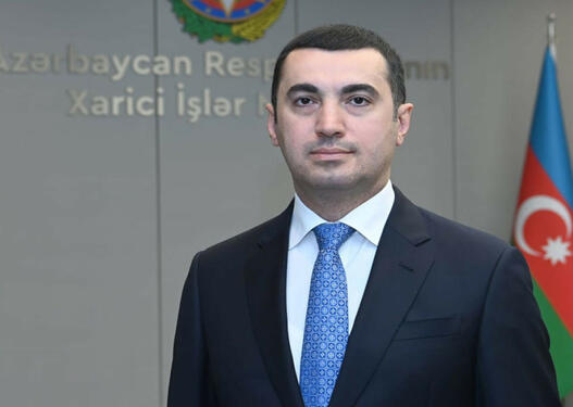 "Ayvazovskinin büstünün quraşdırılması qanunsuz idi"