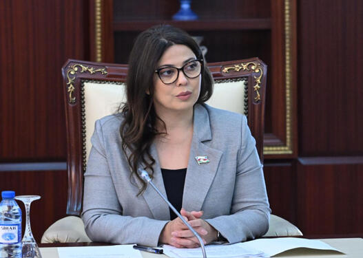 "Bu, artıq tərəfdaşlıq yox, riyakarlıqdır”