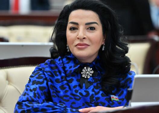 Xankəndi sammiti dünyaya verilən mesajdır