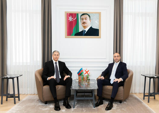 Vilayət Eyvazov Gürcüstanın daxili işlər naziri ilə görüşüb