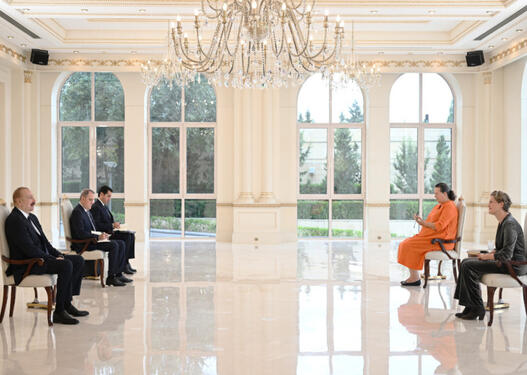 Prezident Niderlandın yeni səfirinin etimadnaməsini qəbul edib