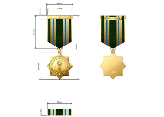 Azərbaycan Konstitusiyasının 30 illiyi ilə əlaqədar yubiley medalı təsis edilib