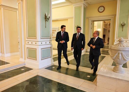 TİKA sədri Hikmət Hacıyevlə görüşüb