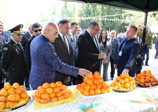 DTX tərəfindən saxlanılan icra başçısı dünən festivaldaymış