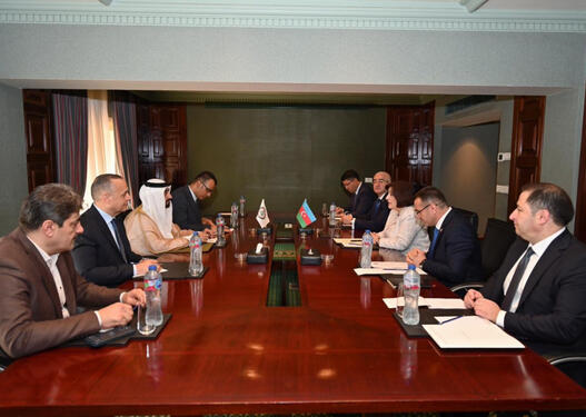 Milli Məclisin sədri Sahibə Qafarova Ərəb Parlamentinin Prezidenti ilə görüşüb