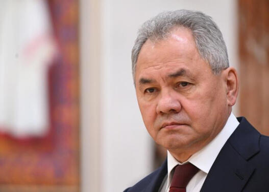 Şoyqu: Zəngəzur dəhlizi və Şimal-Cənub dəhlizi bir-birləri ilə rəqabət aparmayacaq