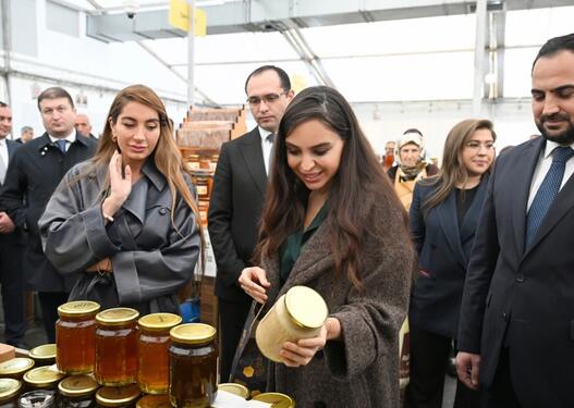 Leyla Əliyeva və Arzu Əliyeva arıçılıq məhsullarının sərgi-satış yarmarkasını ziyarət ediblər