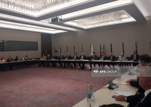 Agentlik: Qrant müsabiqələrində Qərbi Azərbaycana qayıdış prioritet istiqamət olacaq