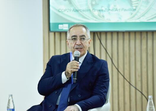 Bu kimi cəhdlər bizim işimizə mane ola bilməz