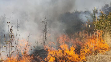 Kəlbəcərdə yanğın baş verib