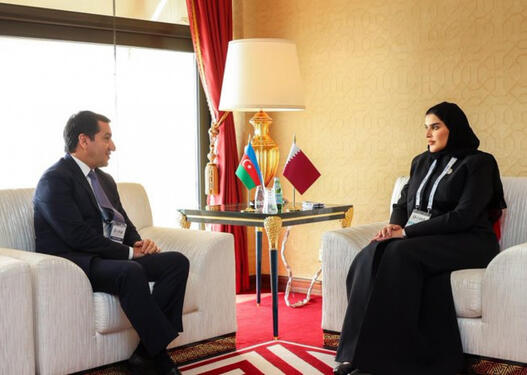 Hikmət Hacıyev Qətərin dövlət naziri ilə görüşüb