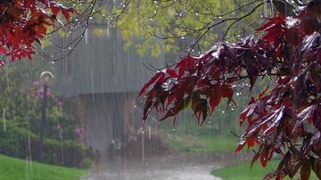 Bakı və Abşeronda leysan yağacaq
