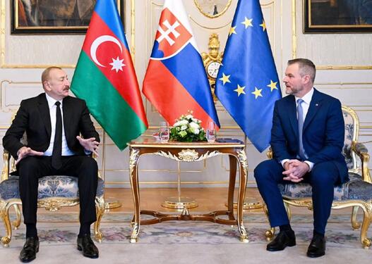 Azərbaycan və Slovakiya prezidentləri mətbuata bəyanatlarla çıxış ediblər