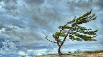 Güclü külək əsəcək