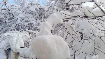 Bəzi rayonlara qar yağıb