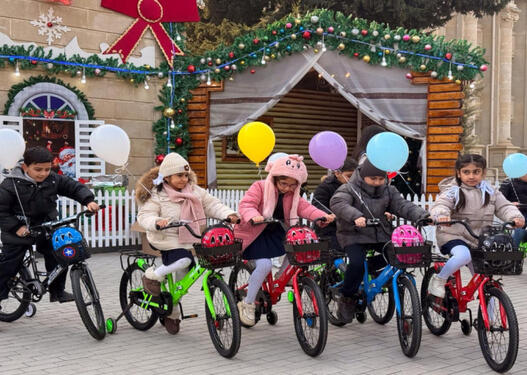 Leyla Əliyevanın təşəbbüsü ilə Yevlax şəhərində uşaqlar üçün Yeni il tədbiri təşkil olunub