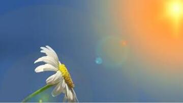 Bakıda 26 dərəcə isti müşahidə olunub