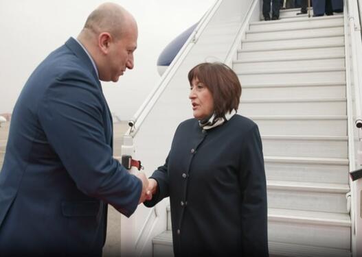 Sahibə Qafarovanın başçılıq etdiyi nümayəndə heyəti Tbilisiyə səfər edib