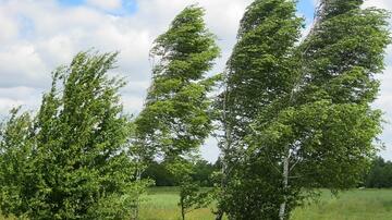 Sabah güclü külək əsəcək