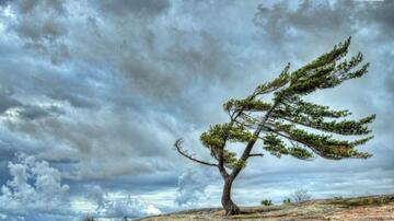 Güclü külək əsəcək