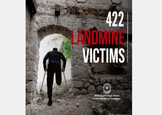 XİN: Vətən müharibəsindən sonra 422 Azərbaycan vətəndaşı mina qurbanı olub