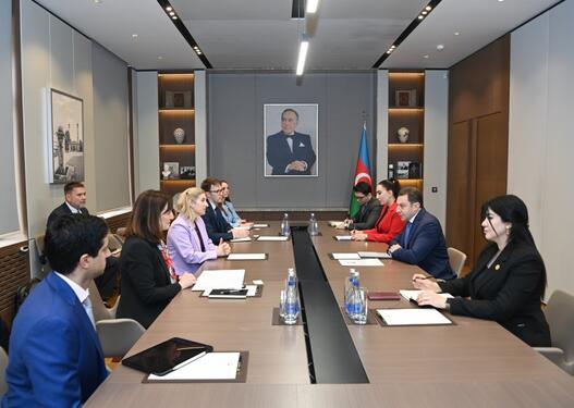 Azərbaycanla ABŞ arasında Strateji Tərəfdaşlıq Xartiyasının icrası üzrə məsələlər müzakirə olunub