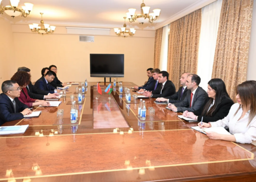 Hikmət Hacıyev çinli nazirlə rəqəmsal sahədə əməkdaşlığı müzakirə edib