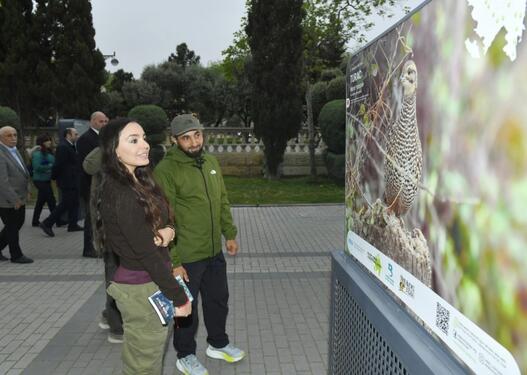 Leyla Əliyeva “Azərbaycan təbiətinin izi ilə” sərgisinin açılış mərasimində iştirak edib - FOTO