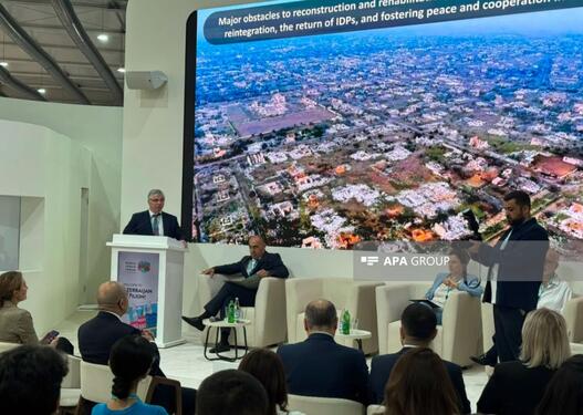 ANAMA sədri: Vətən müharibəsindən sonra 270 min hektardan çox ərazi minadan təmizlənib