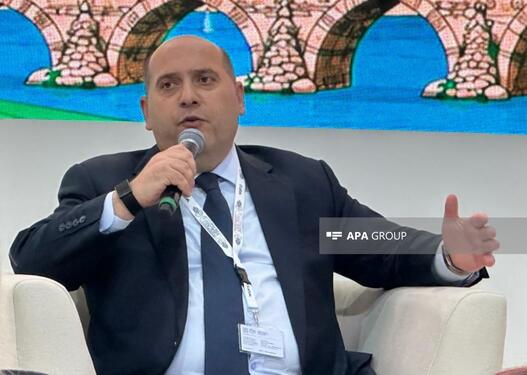 Ağdam, Xocavənd və Füzulinin neçə faizinin minalardan təmizləndiyi məlum olub