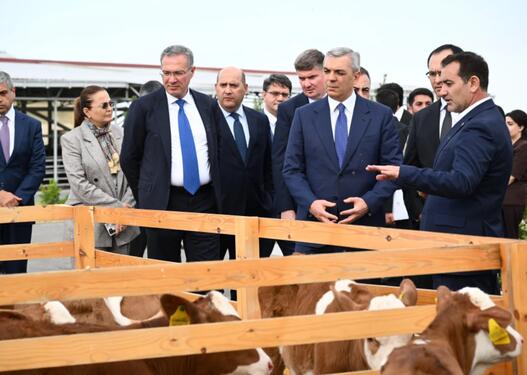 Xocalıda "Qoç Ət"in heyvandarlıq kompleksi ilə tanışlıq olub