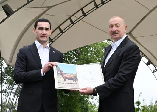 Türkmənistan Prezidentinə Qarabağ atı hədiyyə edildi