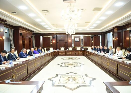 Prezidentin qanunu imzalamadan Milli Məclisə geri qaytarmasına aydınlıq gətirilib