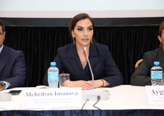 Mehriban İmanova tarixçi alimləri qəzəbləndirdi: Elm Fonduna kəskin ittihamlar