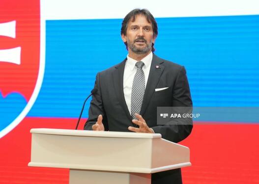 Slovakiyanın müdafiə naziri Azərbaycana gəlib