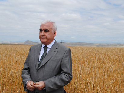 İsmÉt Abbasov ile ilgili görsel sonucu